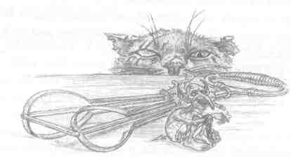 Nanny Ogg's Cookbook-49.jpg